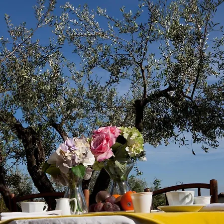 Tenuta Querce Grosse