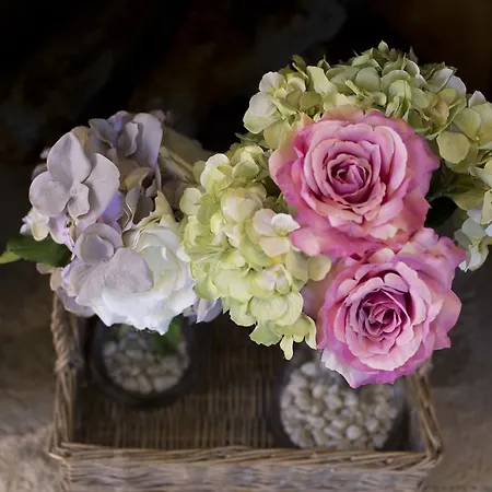 Tenuta Querce Grosse フランカヴィッラ・アル・マーレ