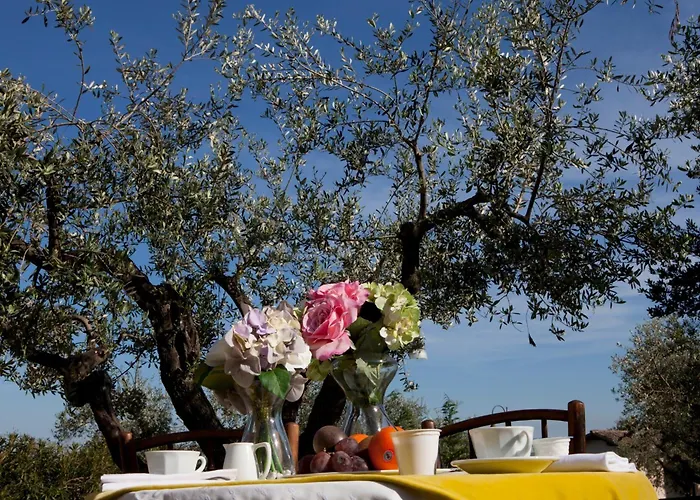 Tenuta Querce Grosse