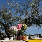 Tenuta Querce Grosse
