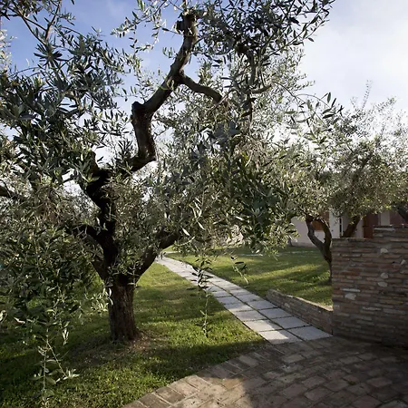 Tenuta Querce Grosse אתר נופש פרנקווילה אל מארה