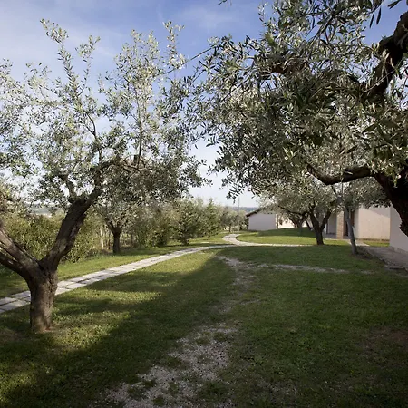 אתר נופש Tenuta Querce Grosse פרנקווילה אל מארה